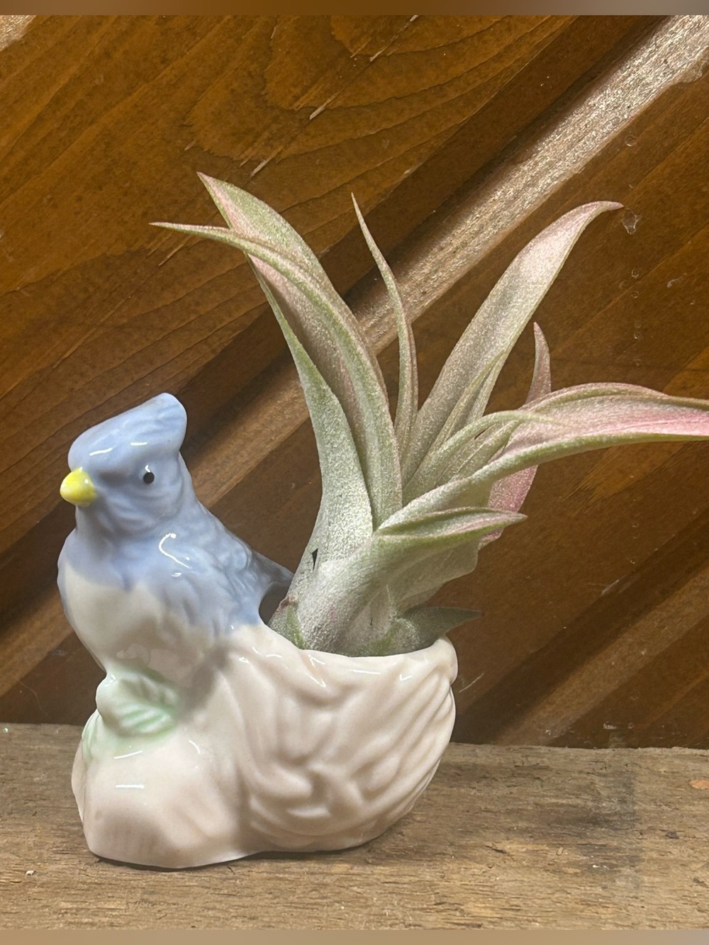 Vintage Blue Bird Porcelain Toothpick Holder/Planter - Picture 7 of 7
